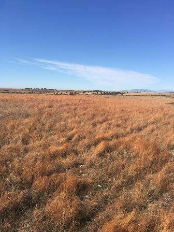 imagen 1 de Venta de terreno en Toledo