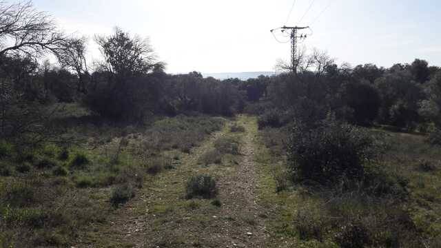 imagen 1 de Venta de finca rústica en Talavera de la Reina (Toledo)