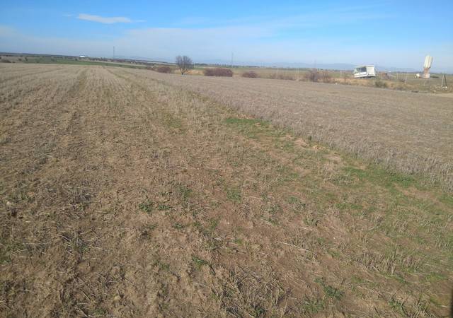imagen 1 de Venta de finca rústica en Fuensalida (Toledo)