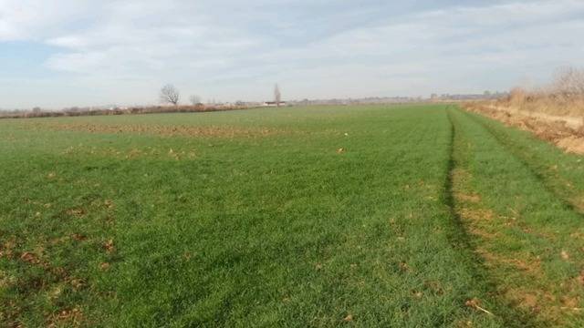 imagen 1 de Venta de finca de regadío en Toledo