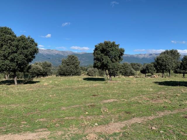 imagen 1 de Venta de finca ganadera en El Almendral de la Cañada