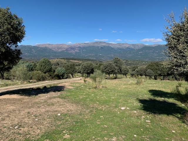 imagen 1 de Venta de finca ganadera en El Almendral de la Cañada