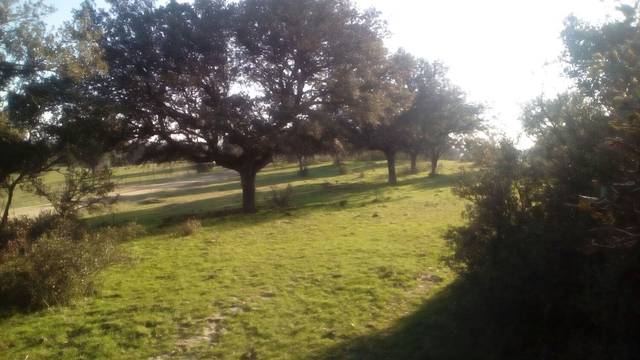 imagen 1 de Venta de finca rústica con agua y luz en Nombela (Toledo)