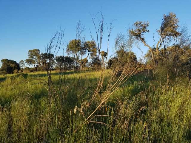 imagen 1 de Venta de finca rústica con buenas vistas en Escalona (Toledo)