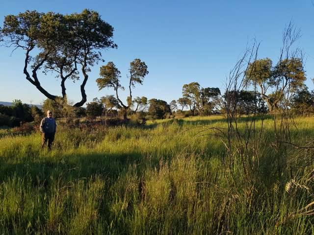 imagen 1 de Venta de finca rústica con buenas vistas en Escalona (Toledo)