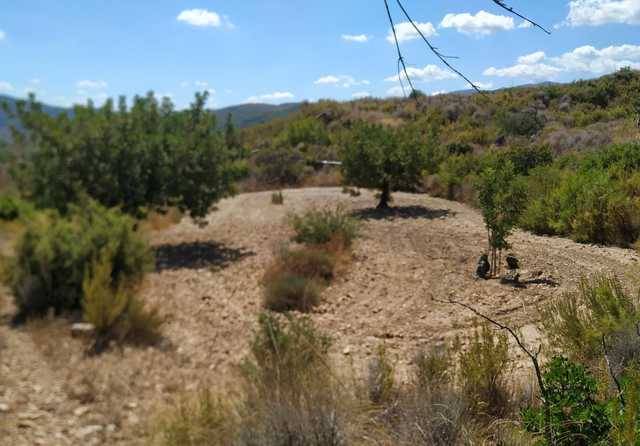 imagen 1 de Venta de terreno en Gestalgar