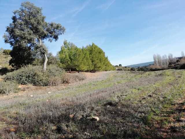 imagen 1 de Venta de finca en Villagordo de Cabriel (Valencia)