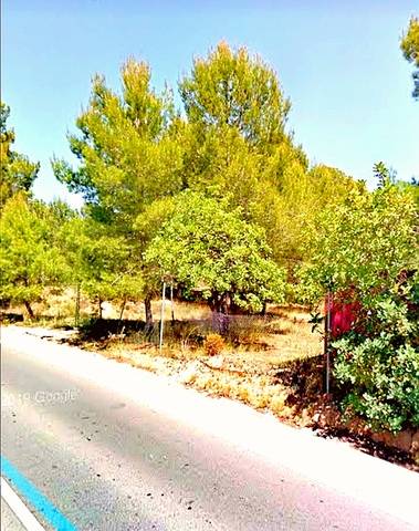 imagen 1 de Venta de terreno rústico ecológico en La Cañada (Valencia)