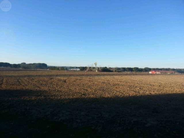 imagen 1 de Venta de parcelas de regadío en Villanueva de Duero