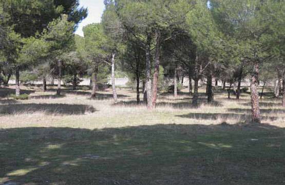 imagen 1 de Venta o alquiler de parcela en Alcazarén (Valladolid)