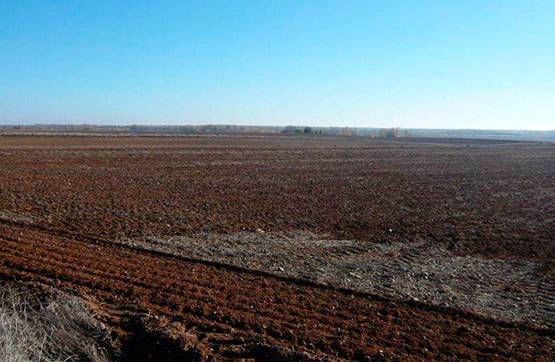 imagen 1 de Venta de parcela en Saelices de Mayorga (Valladolid)