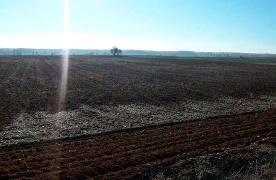 imagen 1 de Venta de parcela en Saelices de Mayorga (Valladolid)