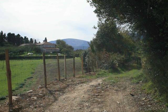 imagen 1 de Venta de terreno con luz y agua en Dima (Vizcaya)