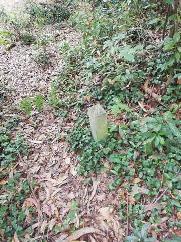 imagen 1 de Venta de finca en Barrika Vizcaya