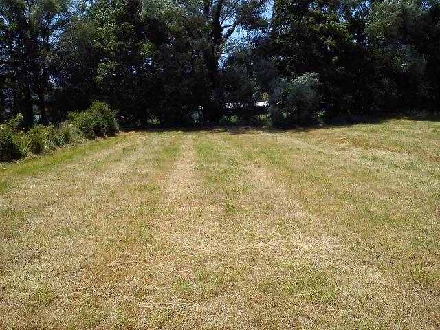 imagen 1 de Venta de terreno llano en Mungía
