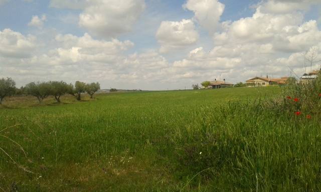imagen 1 de Venta de finca urbana en Fermoselle (Zamora)