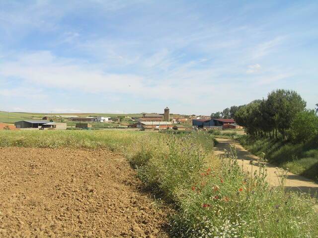 imagen 1 de Venta de terrenos en Villalobos (Zamora)