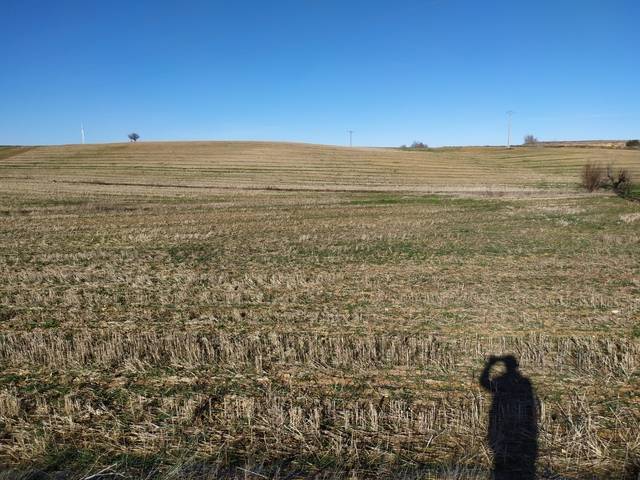 imagen 1 de Venta de terreno en Roales (Zamora)