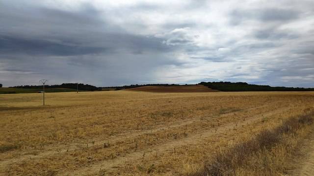 imagen 1 de Finca de regadío en Santa Clara de Avedillo (Zamora)