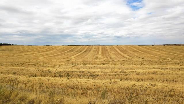 imagen 1 de Finca de regadío en Santa Clara de Avedillo (Zamora)