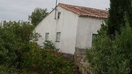 imagen 1 de Venta de finca con casa en Zamora