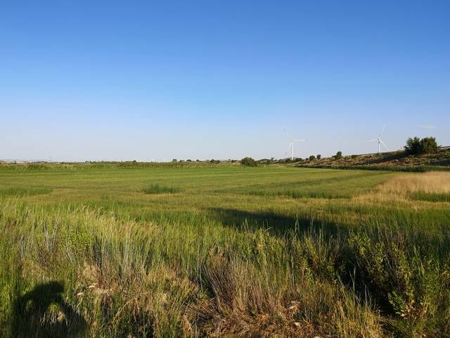 imagen 1 de Venta de finca de regadío en Mallén
