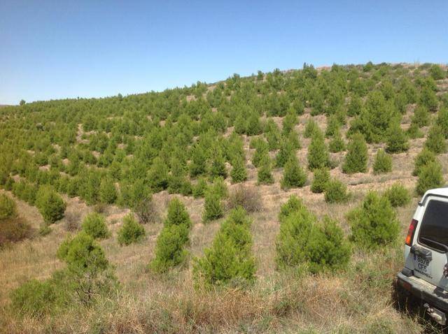 imagen 1 de Venta de finca con refugio en Ateca (Zaragoza)