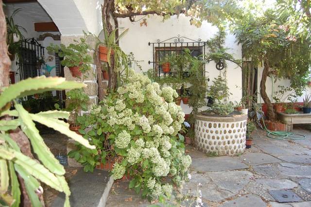 imagen 1 de Venta de 2 casas rurales en El abadengo (Salamanca)