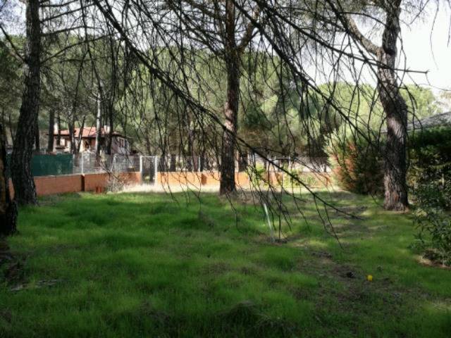 imagen 1 de Venta de finca de recreo en Tudela de Duero