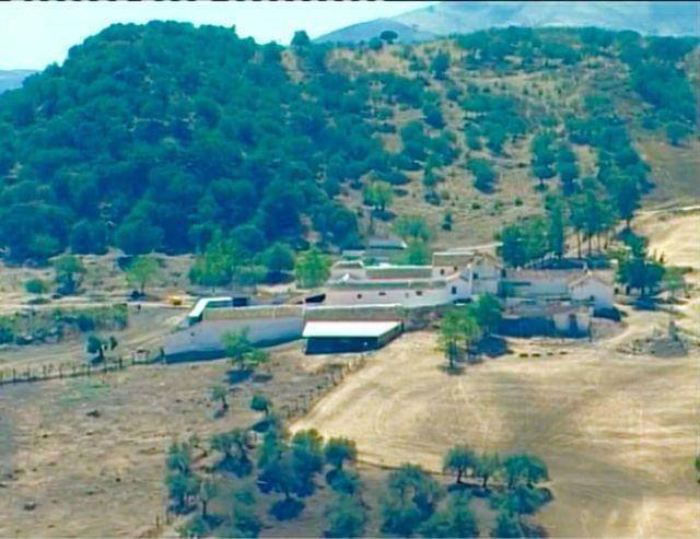 imagen 1 de Venta de finca con almazara y ermita antigua