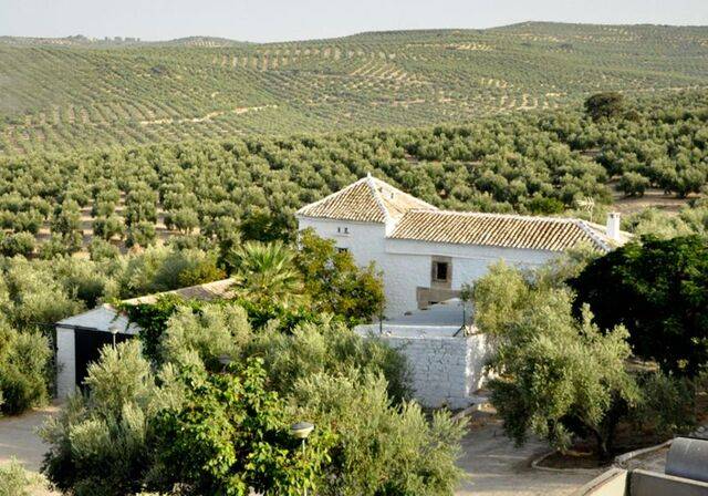 imagen 1 de Venta de almazara en funcionamiento en Jaén