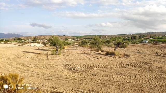 imagen 1 de Venta de parcela edificable en Molina de Segura