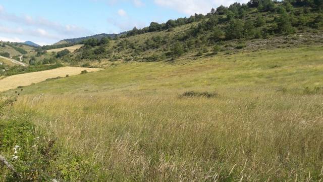 imagen 1 de Venta de finca en Sarasa