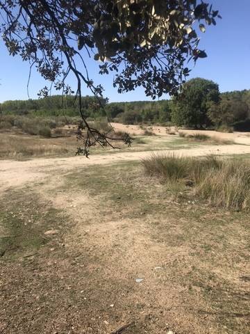 imagen 1 de Venta de finca en Aldea del Fresno (Madrid)