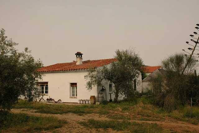 imagen 1 de Venta de finca con vivienda, luz y agua en Villaviciosa de Córdoba