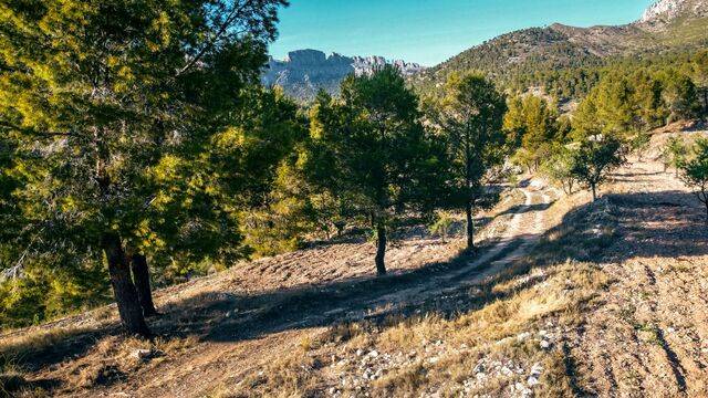 imagen 1 de Venta de finca cerca del mar en Benidorm