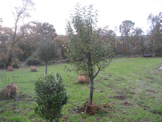 imagen 1 de Venta de fincas en Baamonde