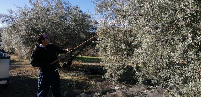 imagen 1 de Venta de finca de recreo en Padul (Granada)