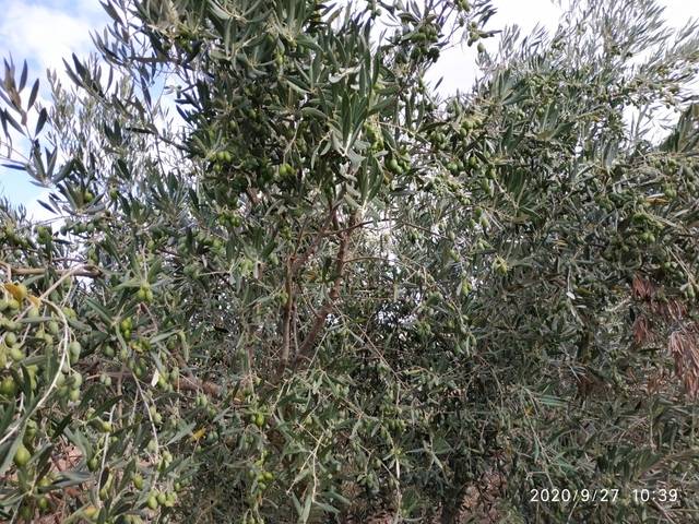 imagen 1 de Venta de finca en Calahorra (La Rioja)