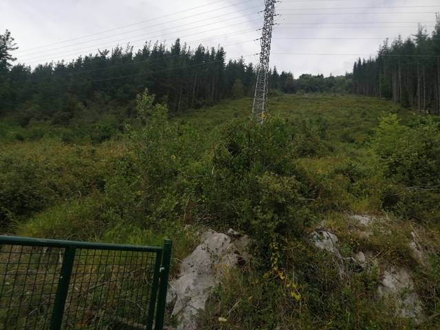 imagen 1 de Venta de finca rústica con caseta en Markina