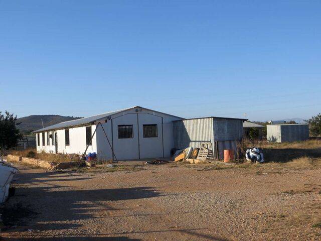 imagen 1 de Venta de finca agrícola en Benicarlo