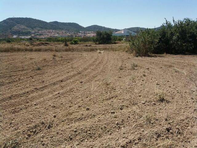 imagen 1 de Venta de parcela rústica en Murcia