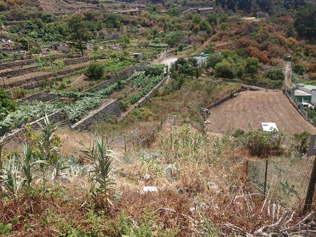 imagen 1 de Venta de finca en Tenerife