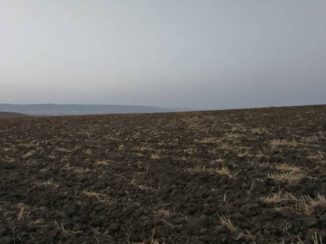 imagen 1 de Venta de finca en Córdoba