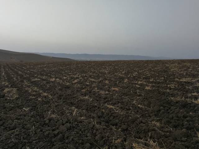 imagen 1 de Venta de finca en Córdoba
