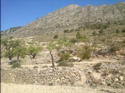 imagen 1 de FINCA MAS CASA A REFORMAR