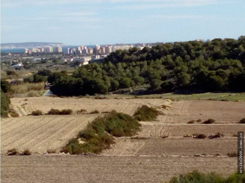 imagen 1 de Guardamar del Segura.