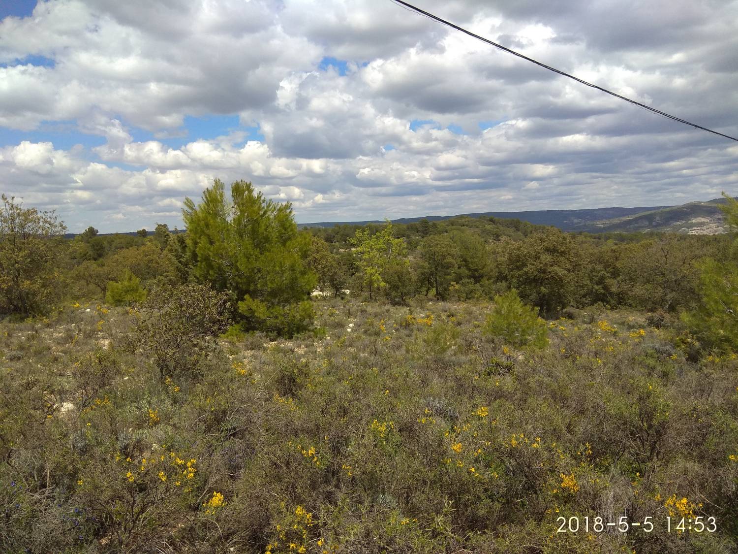 imagen 1 de Venta finca rústica