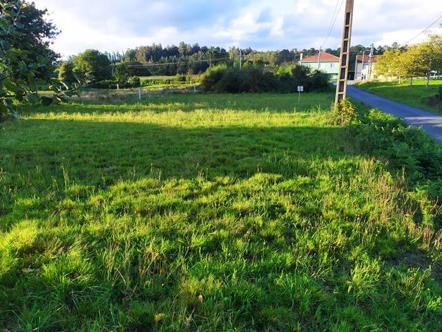 imagen 1 de FINCA EDIFICABLE EN VILACHA-O PINO(A CORUÑA)