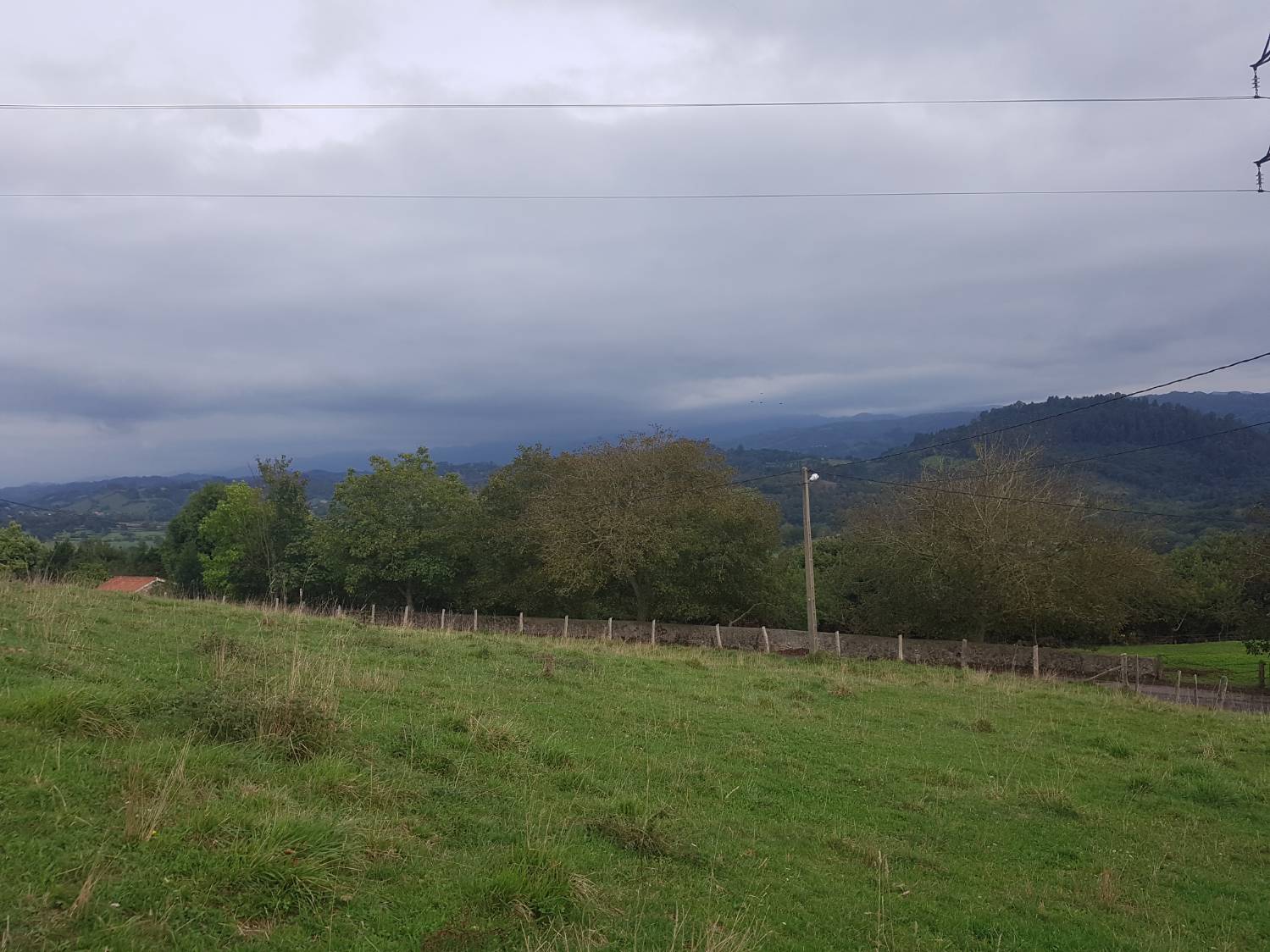 imagen 1 de Vendo finca edificable con buenas vistas